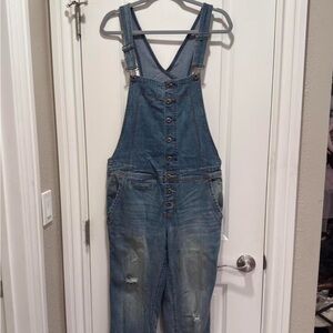 Free People Classic Blue Denim Overalls